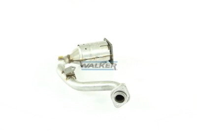 20338 Walker
