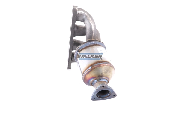 Catalizador 20619 Walker