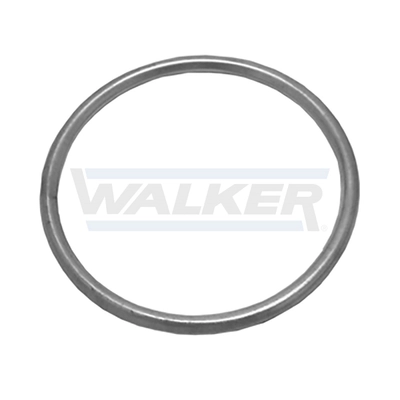 80451 Walker