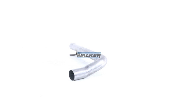 21580 Walker