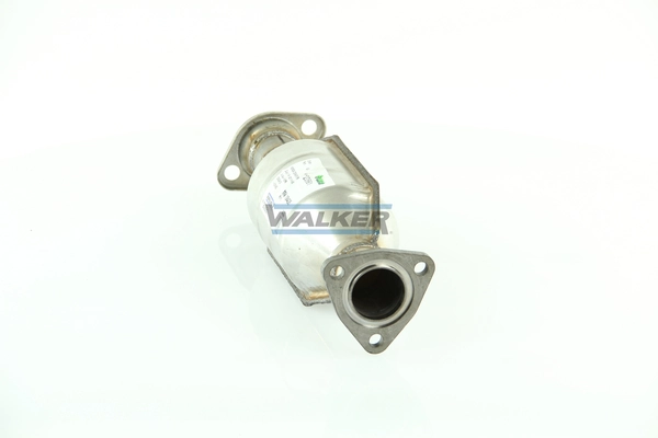 Catalizador Polcar RV8002T precio, desde 210,69 EUR