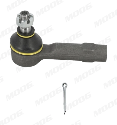 NIES2780 Moog
