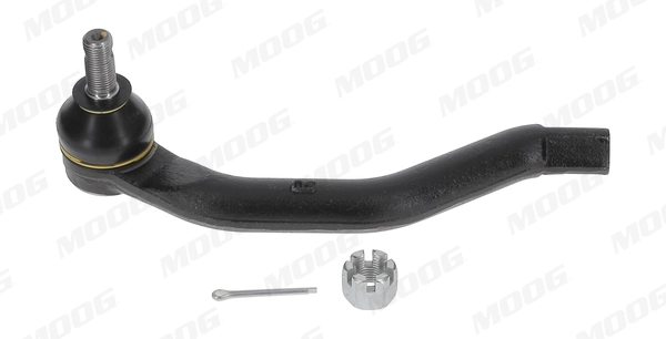 HOES13262 Moog