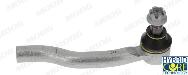 NIES4925 Moog