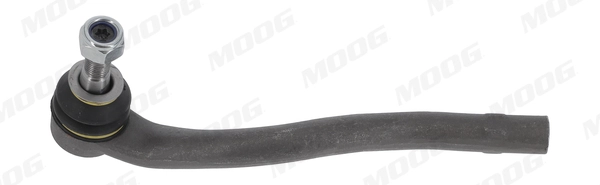 MEES5593 Moog