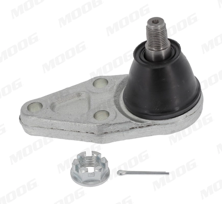 MIBJ13579 Moog