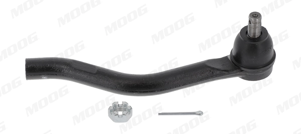 HOES15711 Moog