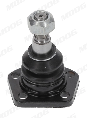 JABJ0561 Moog