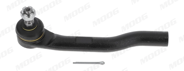 HOES10515 Moog