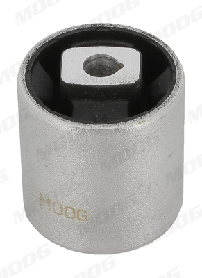BMSB2213 Moog