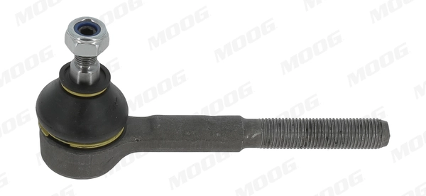 MEES6310 Moog
