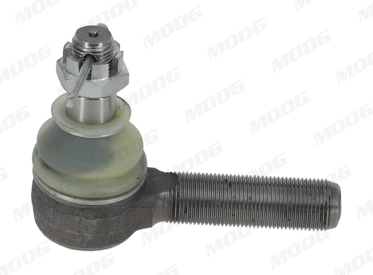 MEES5143 Moog
