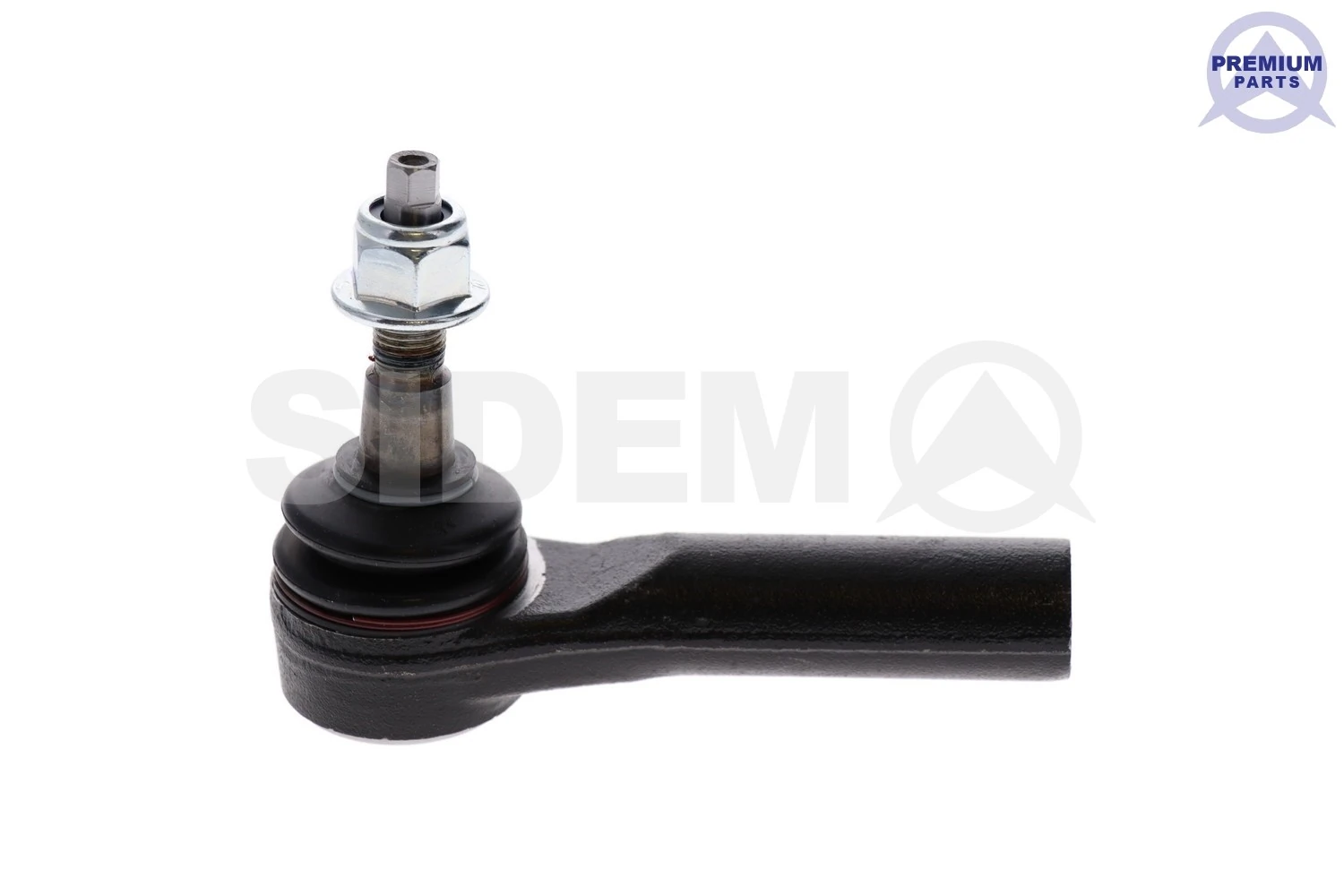 3131 Sidem