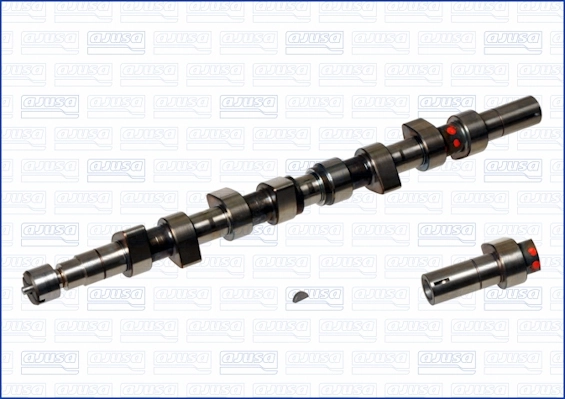 Árboles de levas para Renault 19 B53, C53