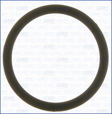 Junta de termostato Ford Transit  desde 1,94 €