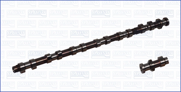 Árbol de levas BMW X5 (E53)