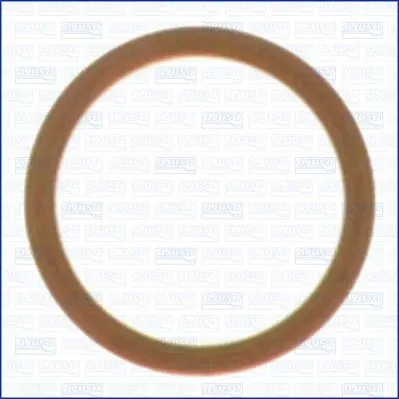 21016900 Ajusa