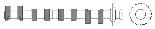 Árbol de levas de entrada para Volkswagen Jetta 19E, 1G2, 165, 167