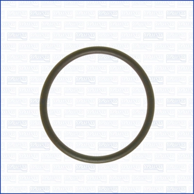 Junta termostato para Volkswagen Passat B6 3C2