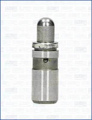 85010900 Ajusa