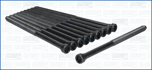 81069000 Ajusa