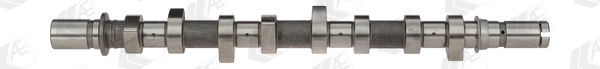 Comprar Árboles de levas Renault Kangoo BE BOP KW0, KW1