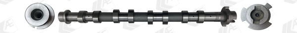 Kit árbol de levas Renault Trafic III (EG)