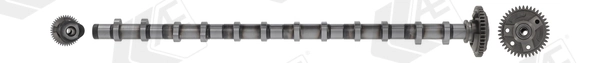 Árboles de levas BMW X5 SUV (E70) (2007 - 2013) precio, desde 279,27 EUR