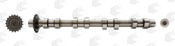 Árbol de levas de entrada para Peugeot 406 8B