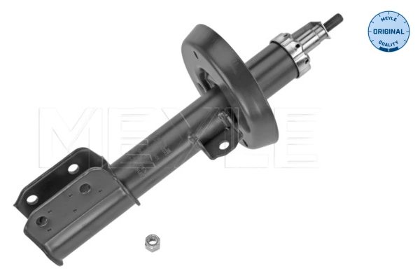 Amortiguador delantero izquierdo General Motors 344077 precio, desde 48,82 EUR
