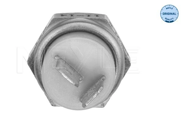 133893 Peugeot/Citroen Sensor temperatura refrigerante