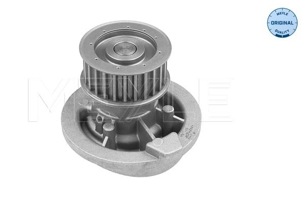 1635177380 Peugeot/Citroen Bomba refrigerante coche