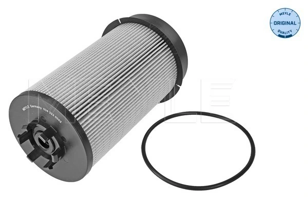 1502940 DAF Filtro de gasolina