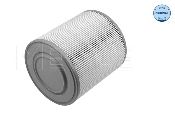 Filtro de aire de motor para Audi A6 C6 4F5