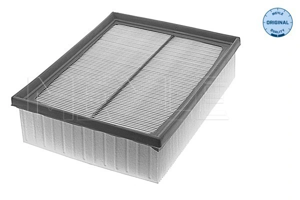 71761663 Magneti Marelli Filtro de aire de motor