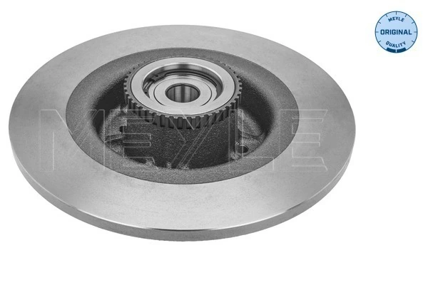 Comprar Disco de freno trasero Ford Transit IV T