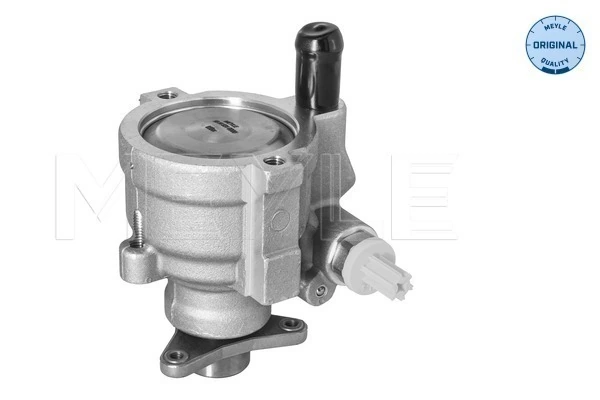 Bomba de dirección 491100522R Lada
