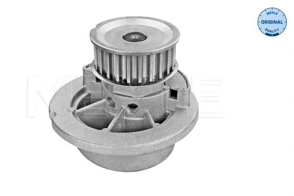 Bombeadora de agua General Motors 9199592 precio, desde 32,88 EUR
