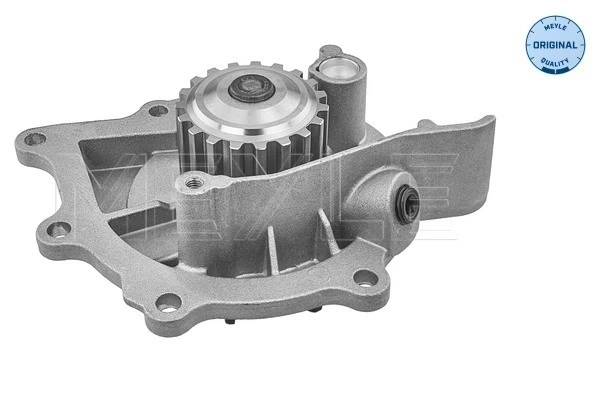 Comprar F242 Dolz Bomba de agua para motor