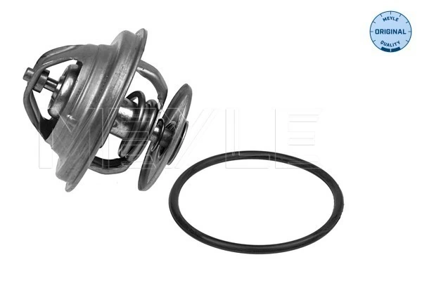 0032037975 Mercedes Termostato de agua