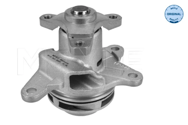 Bombeadora de agua Renault Trafic III plataforma a bordo (EG) (2014 - 2026) precio, desde 86,57 EUR
