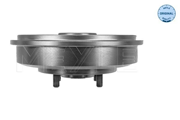 Tambor de freno trasero Ford Focus I hatchback (DAW, DBW) (1998 - 2004) precio, desde 49,00 EUR