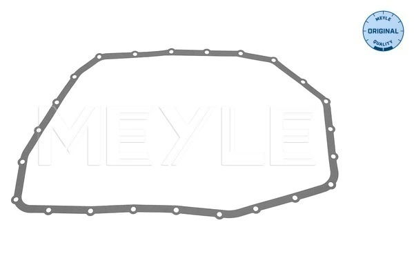 1003210017 Meyle