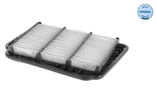 Filtro de aire 96553450 HYUNDAI