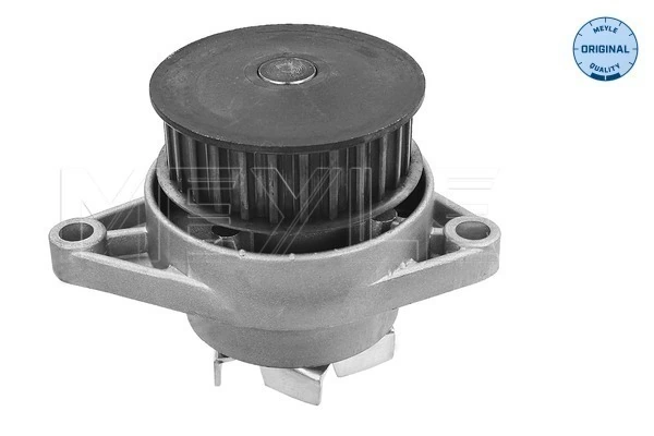 Bombeadora de agua Peugeot/Citroen 1623100280 precio, desde 31,41 EUR