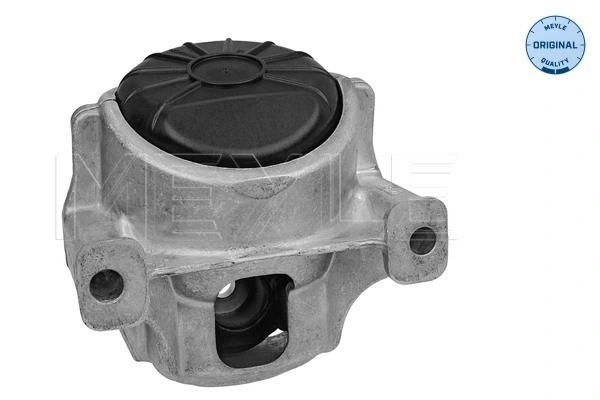 1001991001 Meyle Soporte de motor derecho