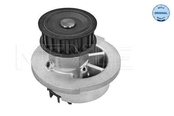Bombeadora de agua General Motors 93302485 precio, desde 25,76 EUR