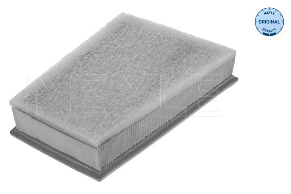 AF251 Maxgear Filtro de aire de motor