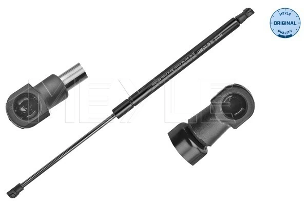 Amortiguador de porton para Renault Clio IV BH