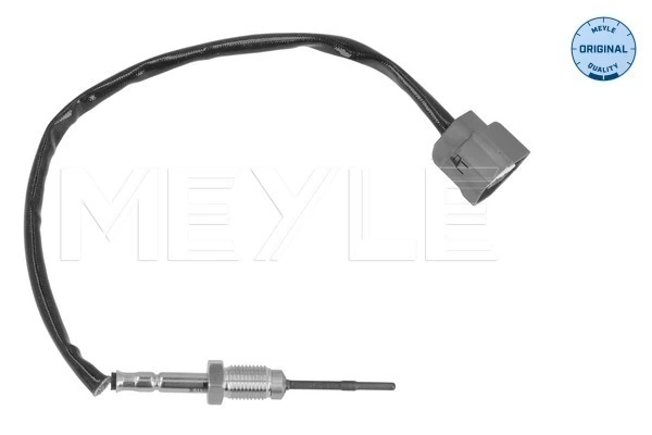 226401632R VAG Sensor de temperatura de gases de escape antes del filtro de partículas